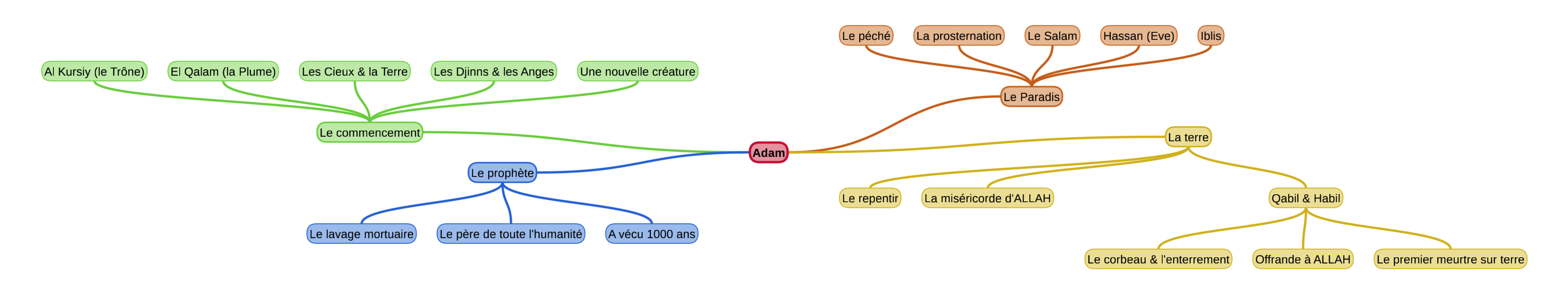 Adam résumé